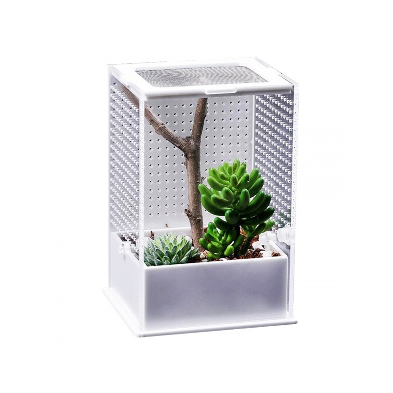 repti-zoo-mantis-box-l-t-18.jpg