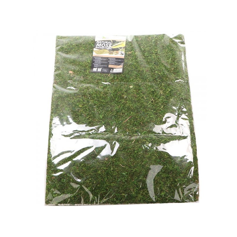 repti-zoo-natural-mossy-61.jpg