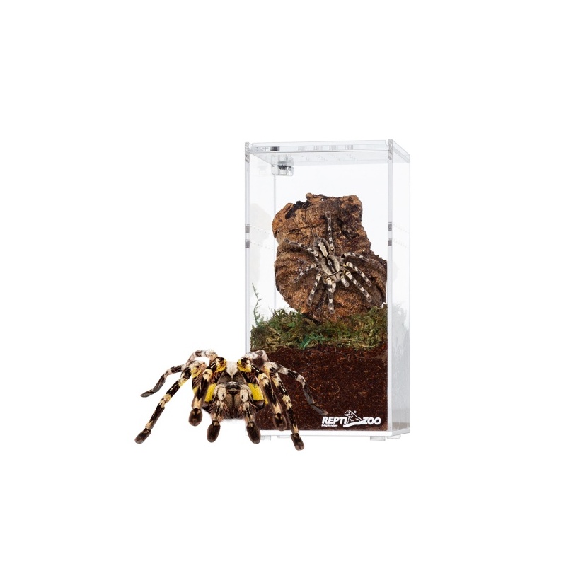 repti-zoo-terrarium-akry-18.jpg