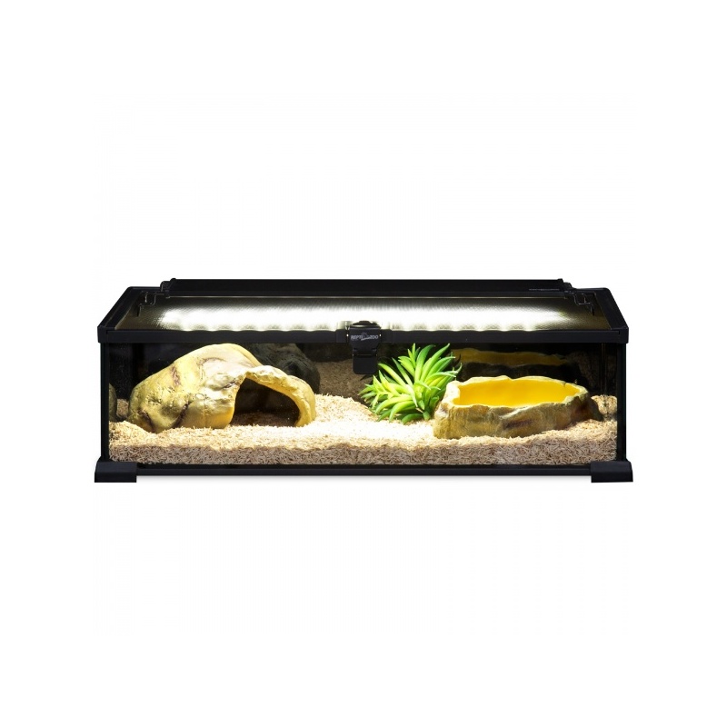repti-zoo-terrarium-ak-2-46.jpg