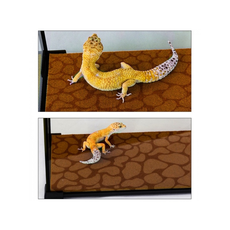 repti-zoo-carpet-mat-pod-73.jpg