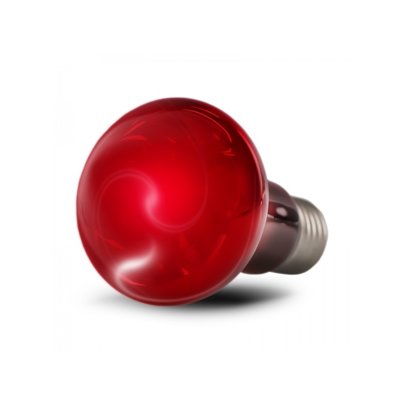 resun-infrared-spot-lamp-1.jpg resun-infrared-spot-lamp-1.jpg