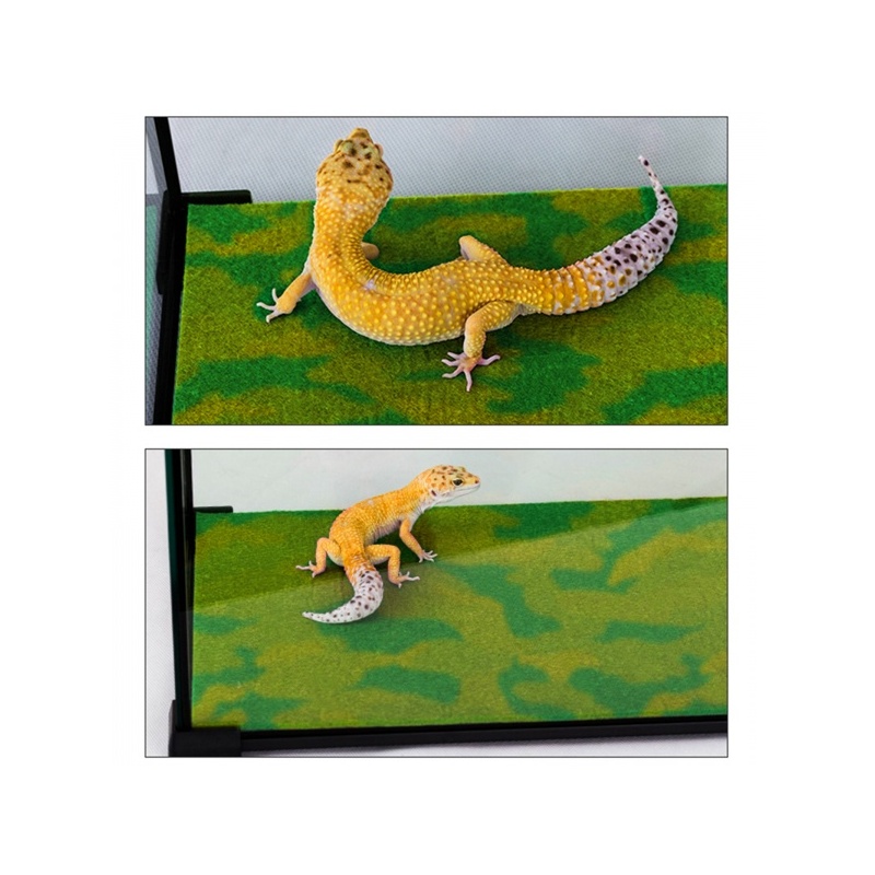 repti-zoo-carpet-mat-pod-78.jpg