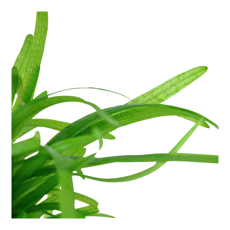 079-tc-3.png
