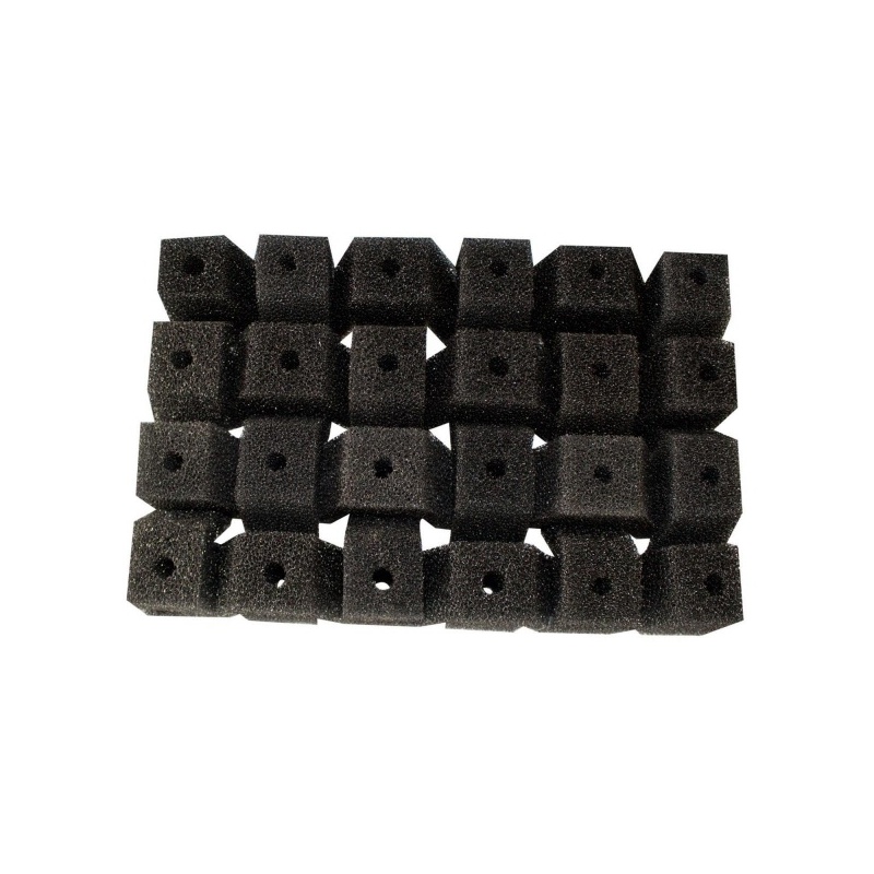 4392.jpg