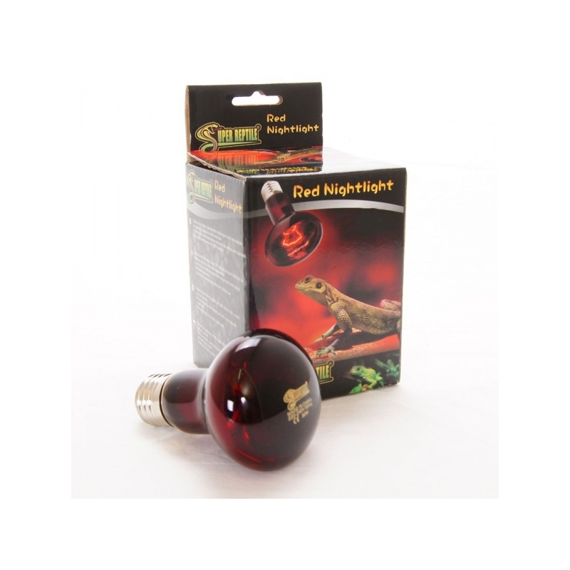 super-reptile-red-50w-po-12.jpg super-reptile-red-50w-po-12.jpg
