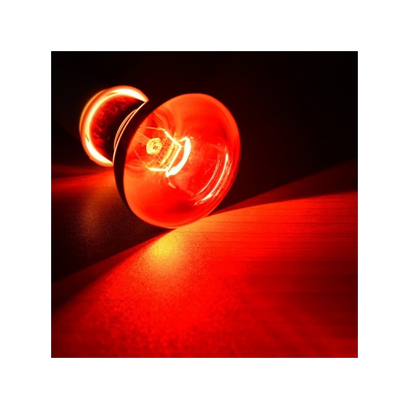 super-reptile-red-50w-po-14.jpg super-reptile-red-50w-po-14.jpg