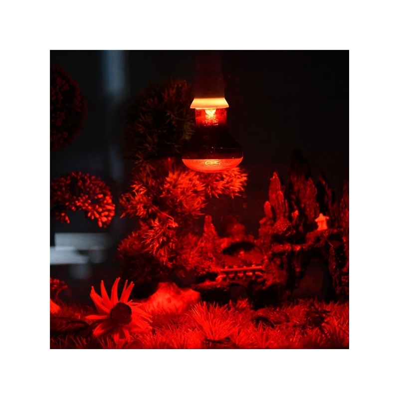 super-reptile-red-50w-po-7.jpg