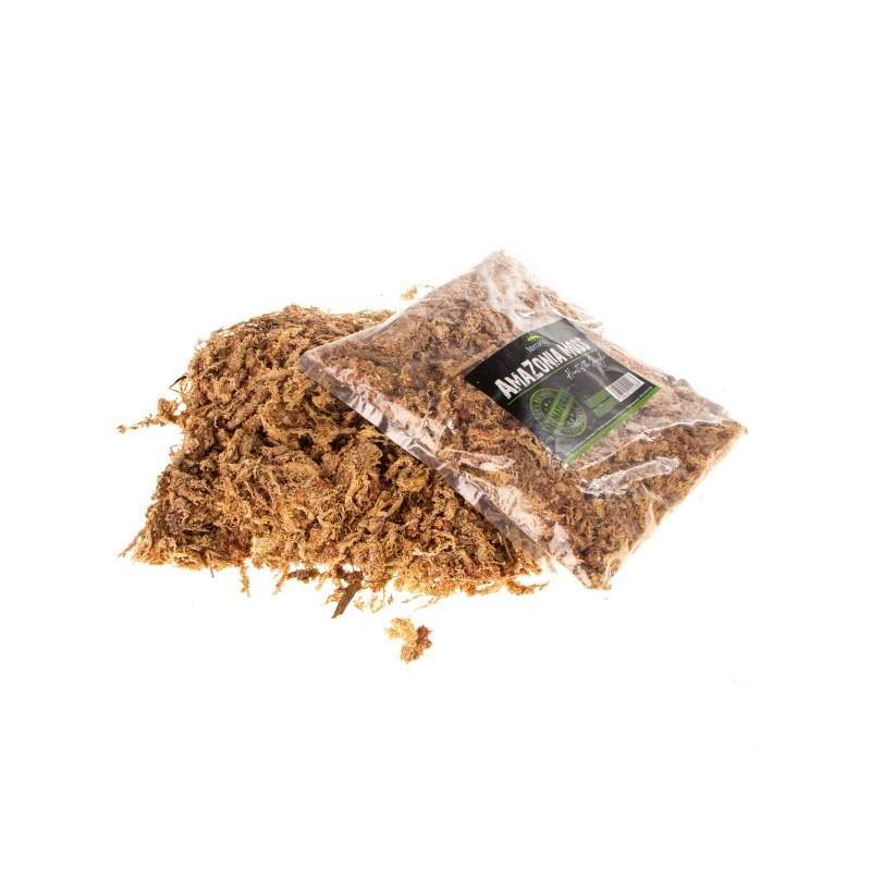 terrario-amazonia-moss-1-1.jpg