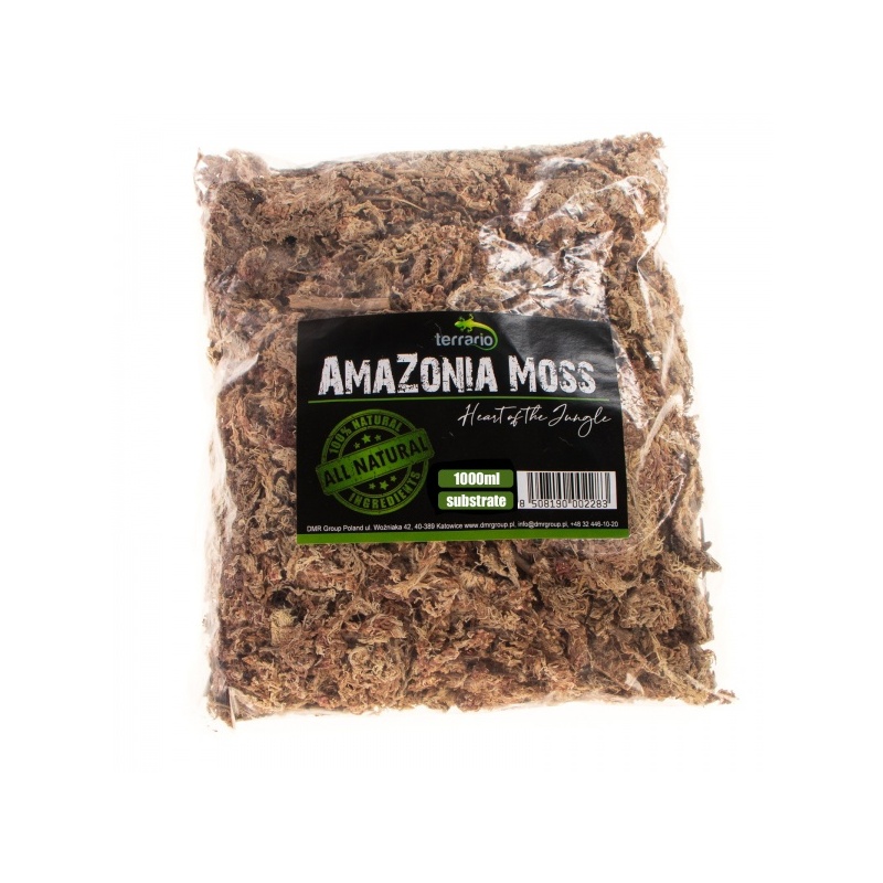 terrario-amazonia-moss-1.jpg