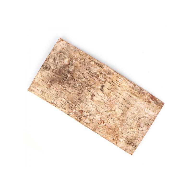 terrario-birch-backgroun-5.jpg