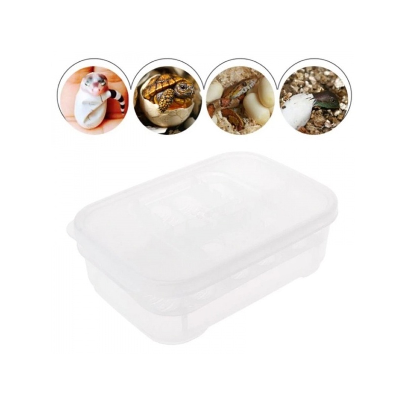 terrario-eggincubator-in-2.jpg terrario-eggincubator-in-2.jpg