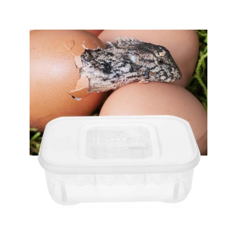 terrario-eggincubator-in-3.jpg terrario-eggincubator-in-3.jpg