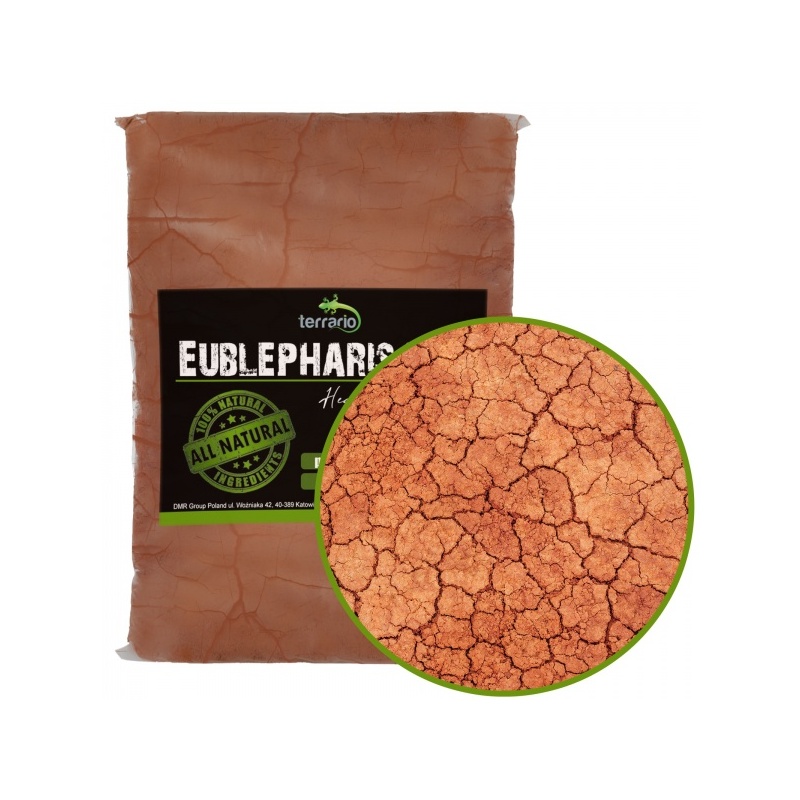 terrario-eversong-fibre-2.jpg terrario-eversong-fibre-2.jpg