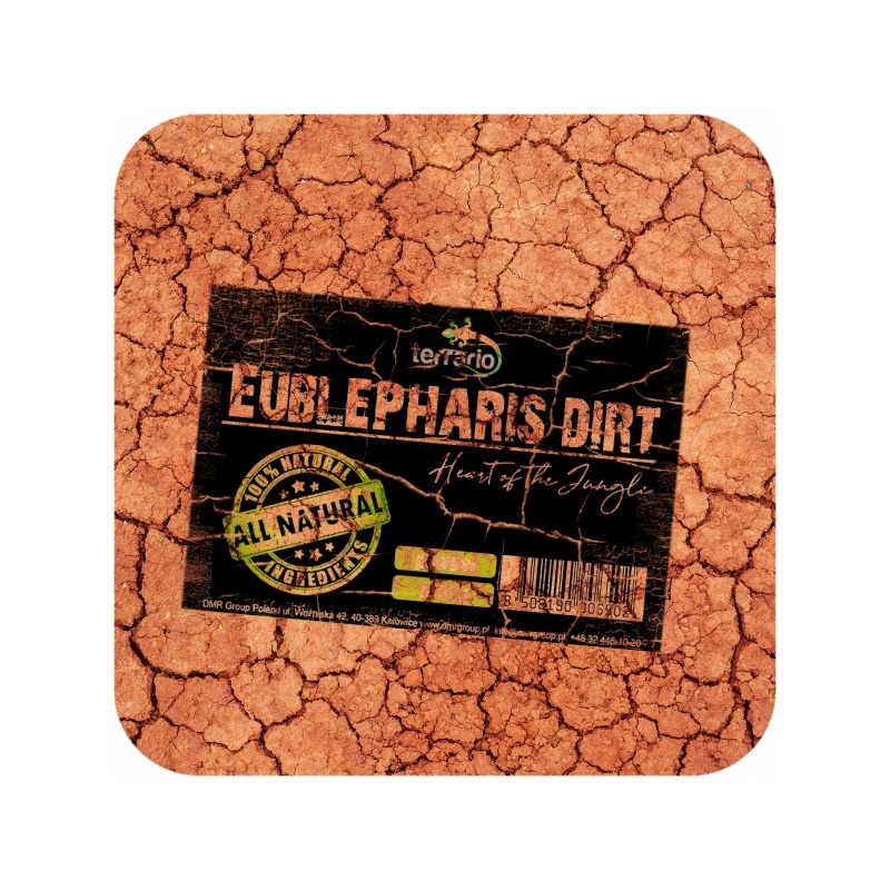 terrario-eversong-fibre-3.jpg terrario-eversong-fibre-3.jpg