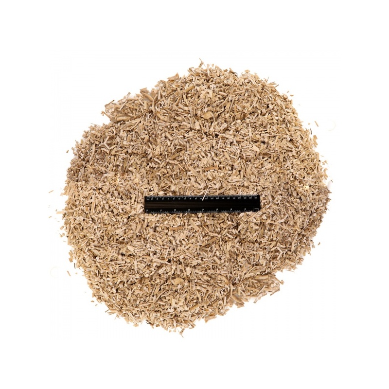 terrario-eversong-fibre-8.jpg