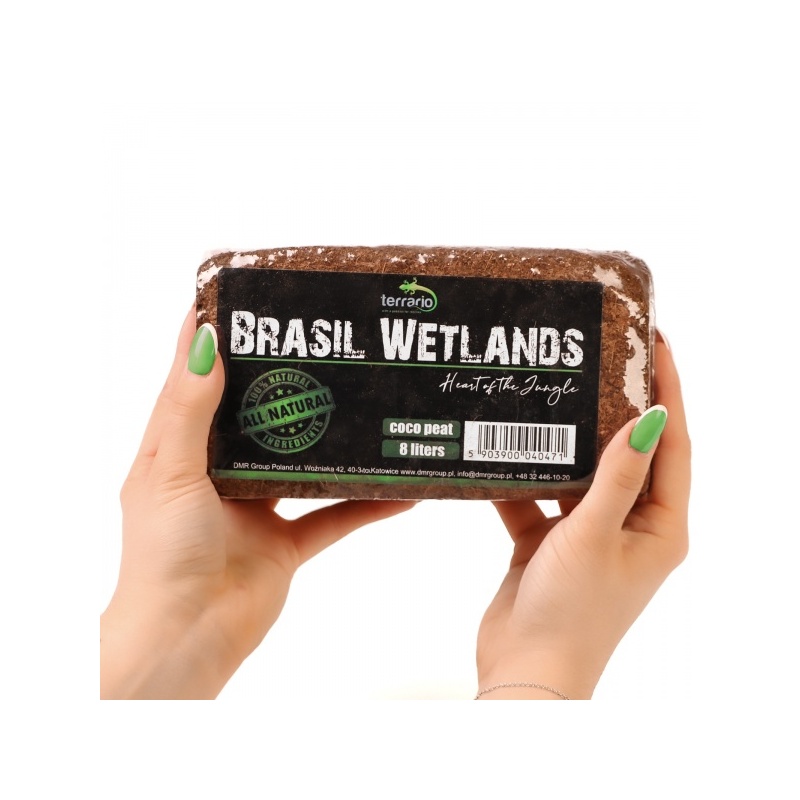 terrario-brasil-wetlands-10.jpg