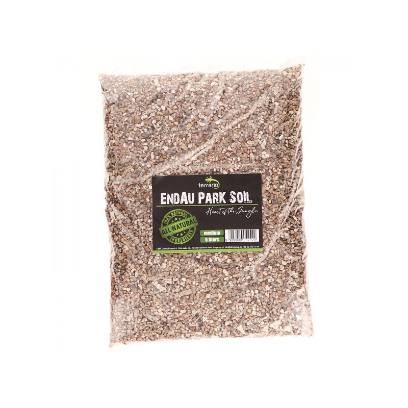 terrario-endau-park-soil-5.jpg