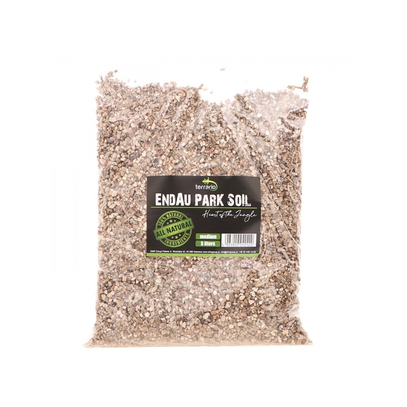 terrario-endau-park-soil-7.jpg