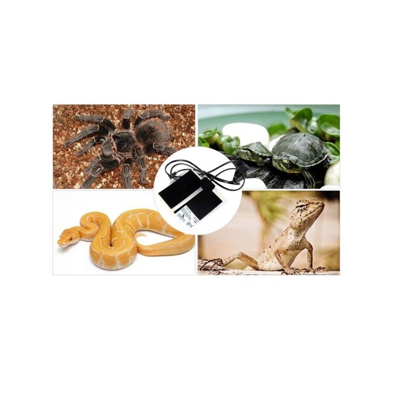 terrario-premium-repti-p-8.jpg