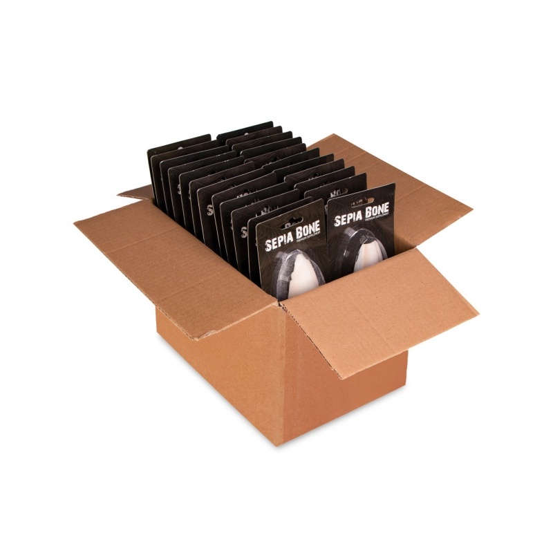 terrario-sepia-bone-sepi-1.jpg terrario-sepia-bone-sepi-1.jpg