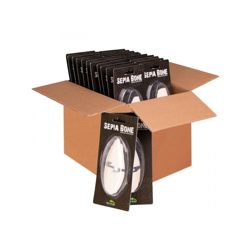 terrario-sepia-bone-sepi.jpg terrario-sepia-bone-sepi.jpg