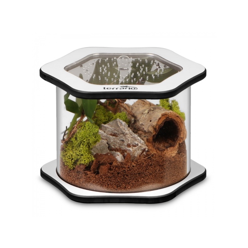terrario-spiders-tube-bi.jpg