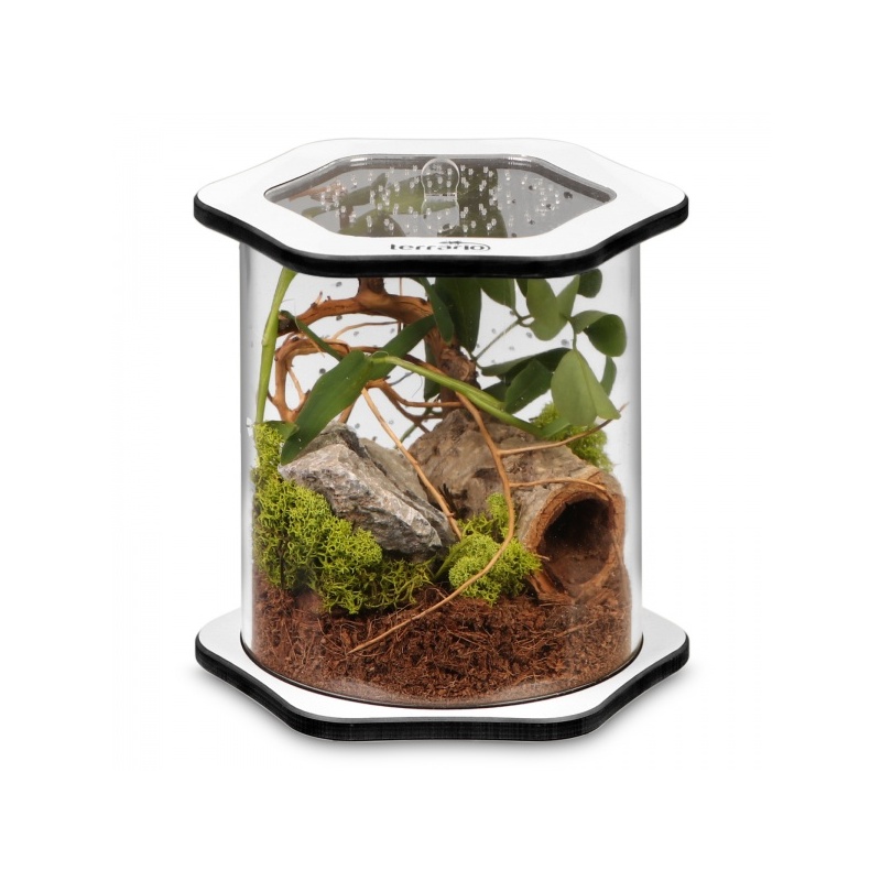 terrario-spiders-tube-bi-5.jpg