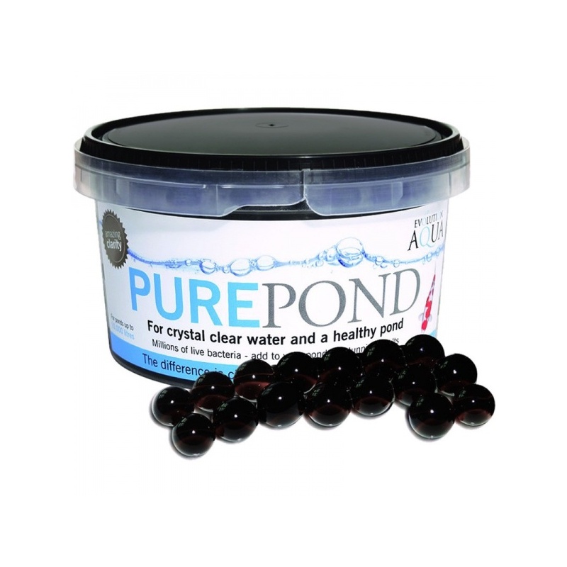 evolution-aqua-pure-pond.jpg