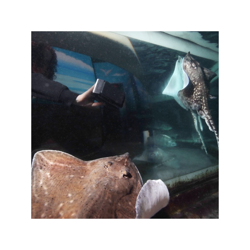 87883.jpg