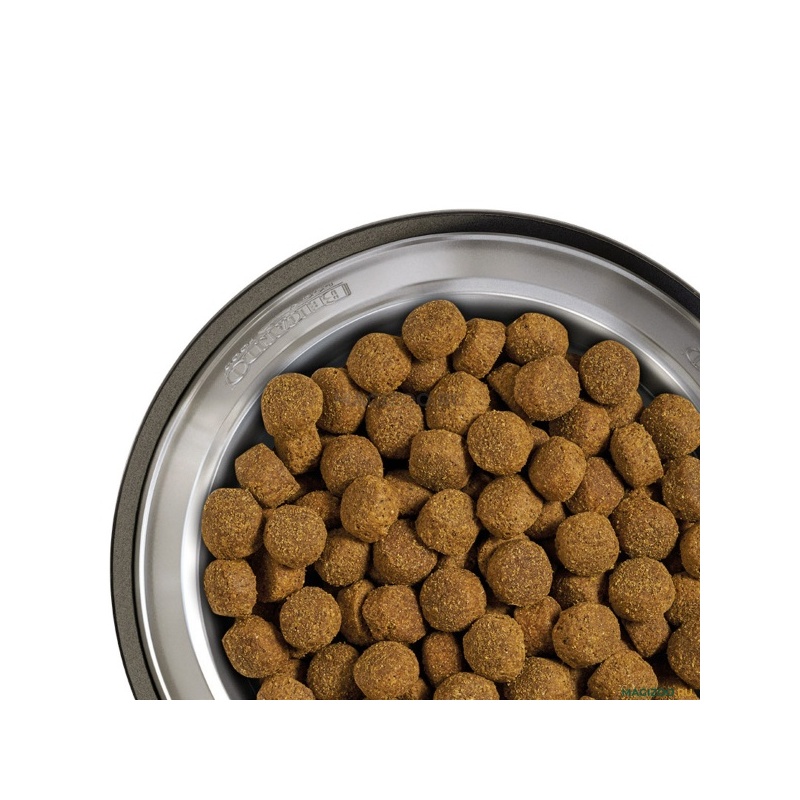 BELCANDO-CLASSICO-ADULT-.jpg
