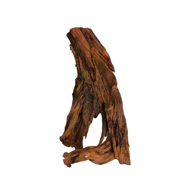 malaysian-driftwood-xl-korzen-40-60cm-1.jpg