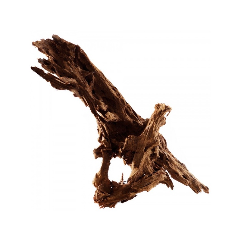 malaysian-driftwood-xl-korzen-40-60cm-2.jpg