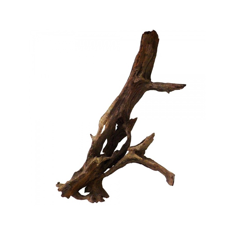 malaysian-driftwood-xl-korzen-40-60cm-3.jpg