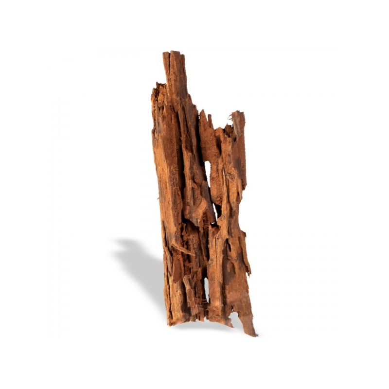 mangrove-root-indonesian-korzen-na-sztuki-m-2.jpg