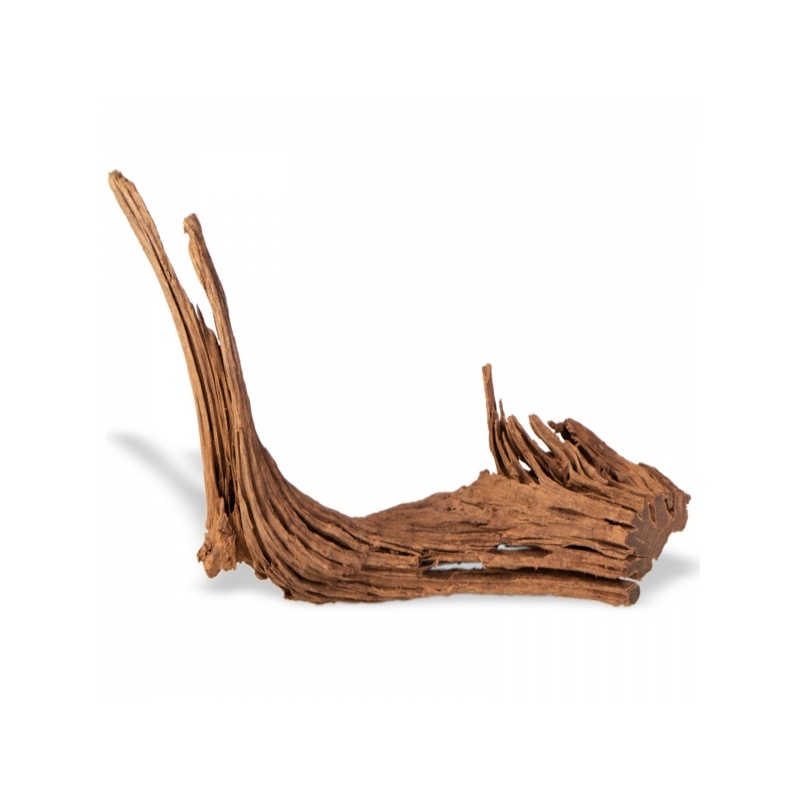 mangrove-root-indonesian-korzen-na-sztuki-m.jpg