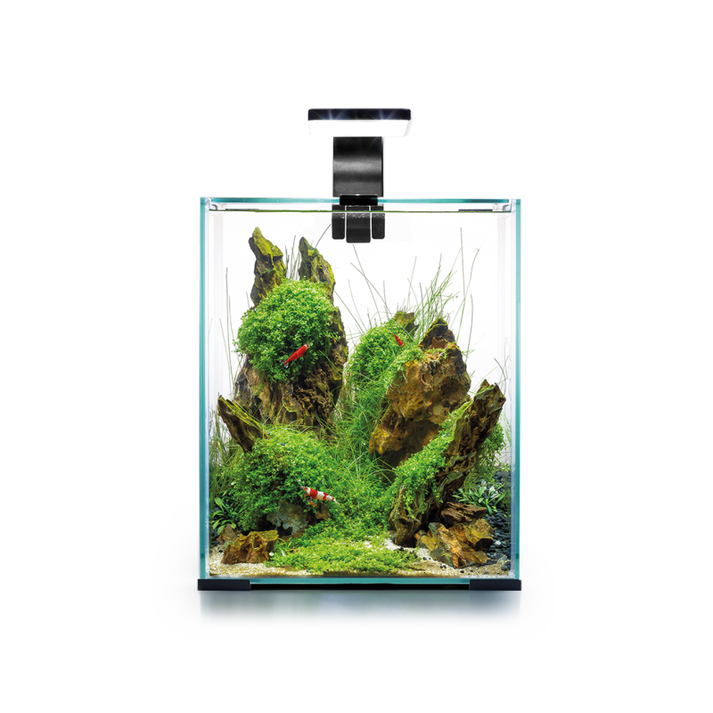 shrimp-set-day-night-20-122978-bez-tla-251.png