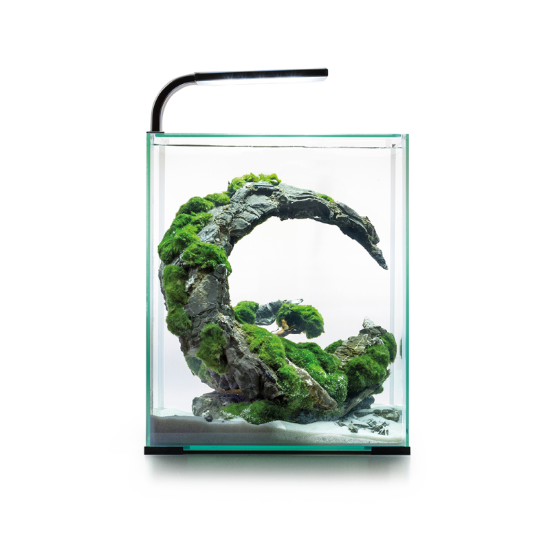 shrimp-set-day-night-30-122980-bez-tla-255.png