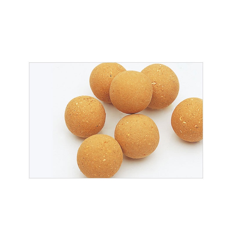 Bacter-Ball-2.jpg