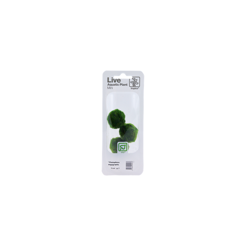 000D-MP-5159-5ffc7c40e89551-50383269-000D-20MP-png-2.png