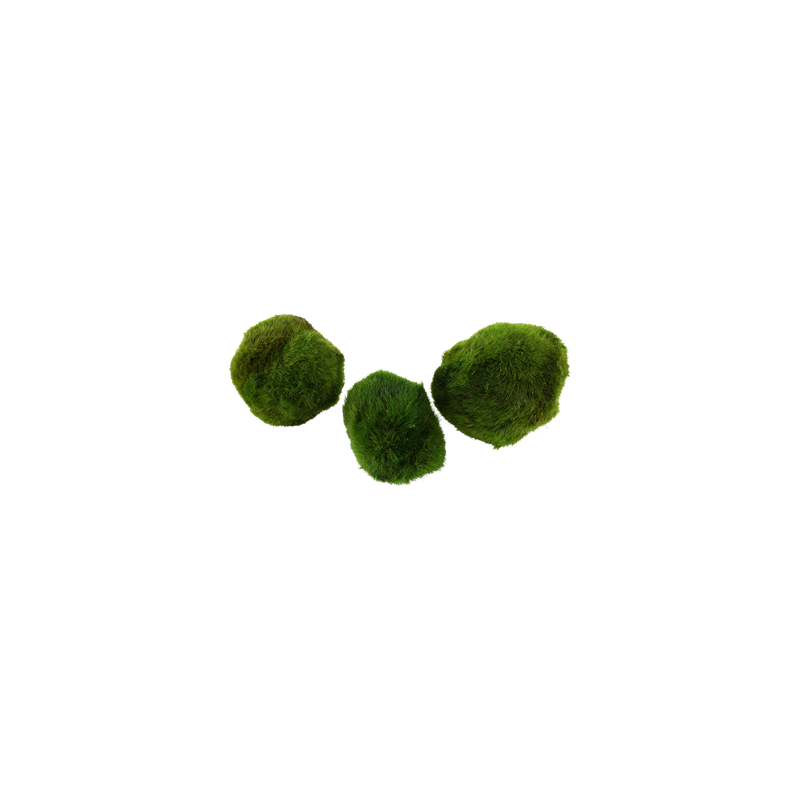 000D-MP-5159-5ffc7c4962af89-70628835-000D-20MP-2-png-2.png