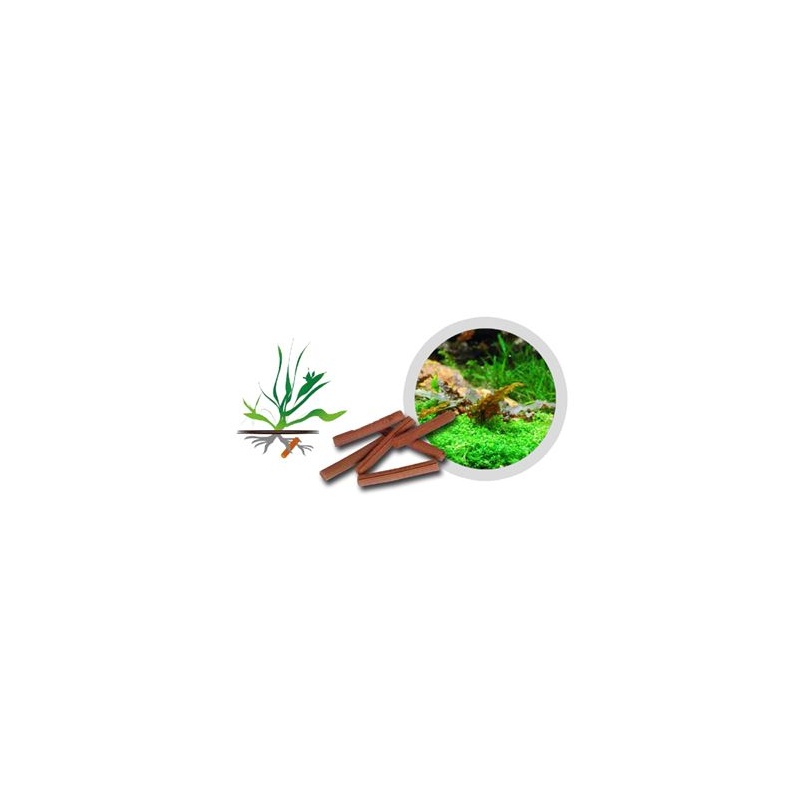 84995-NGRKYu0usMBj-jpg-1.jpeg