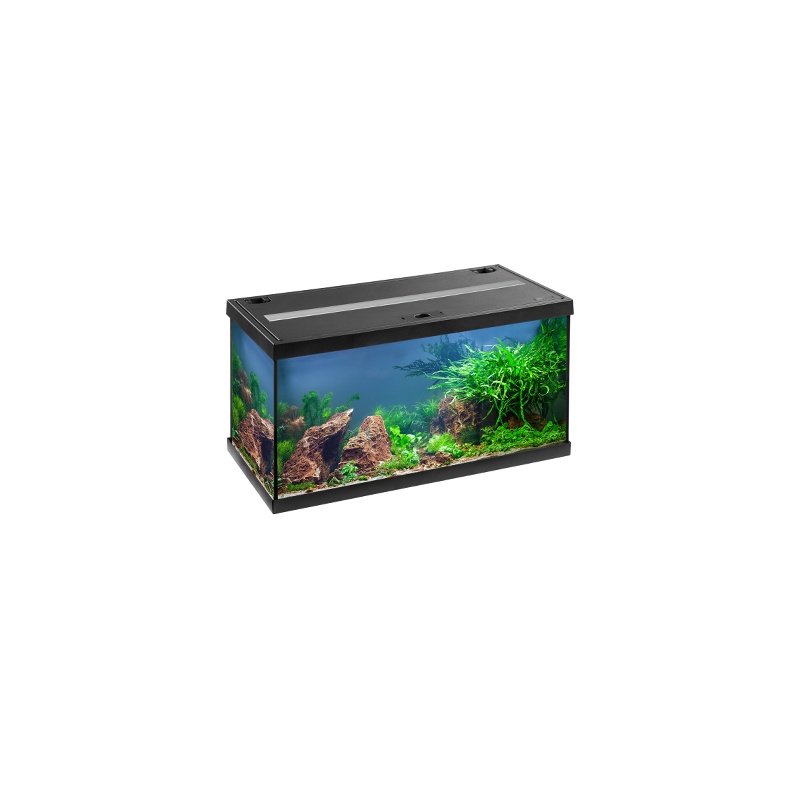 aquastar.jpg