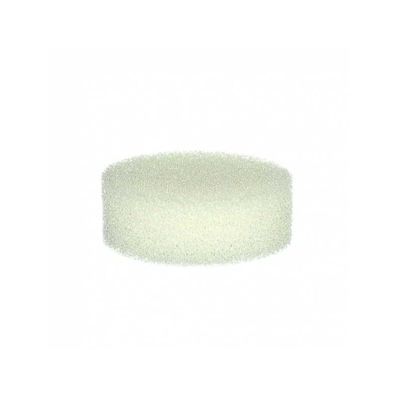 10234-970.jpg