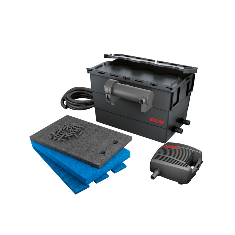 5202020-fsKqf0r2Rqxn-png-3.png