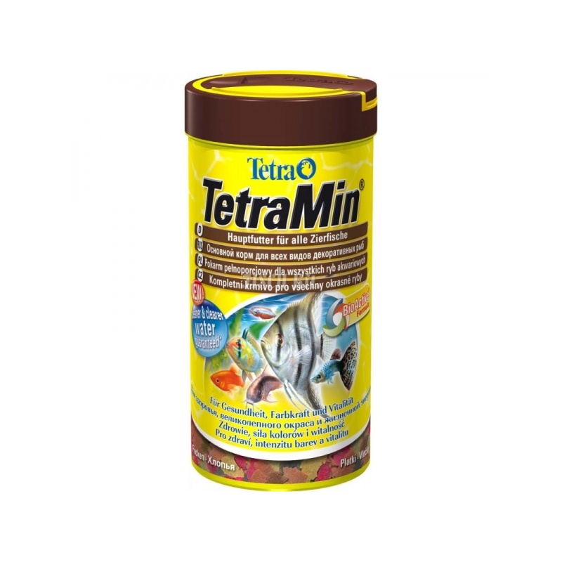 tetra-min-1-800x800-1.jpg