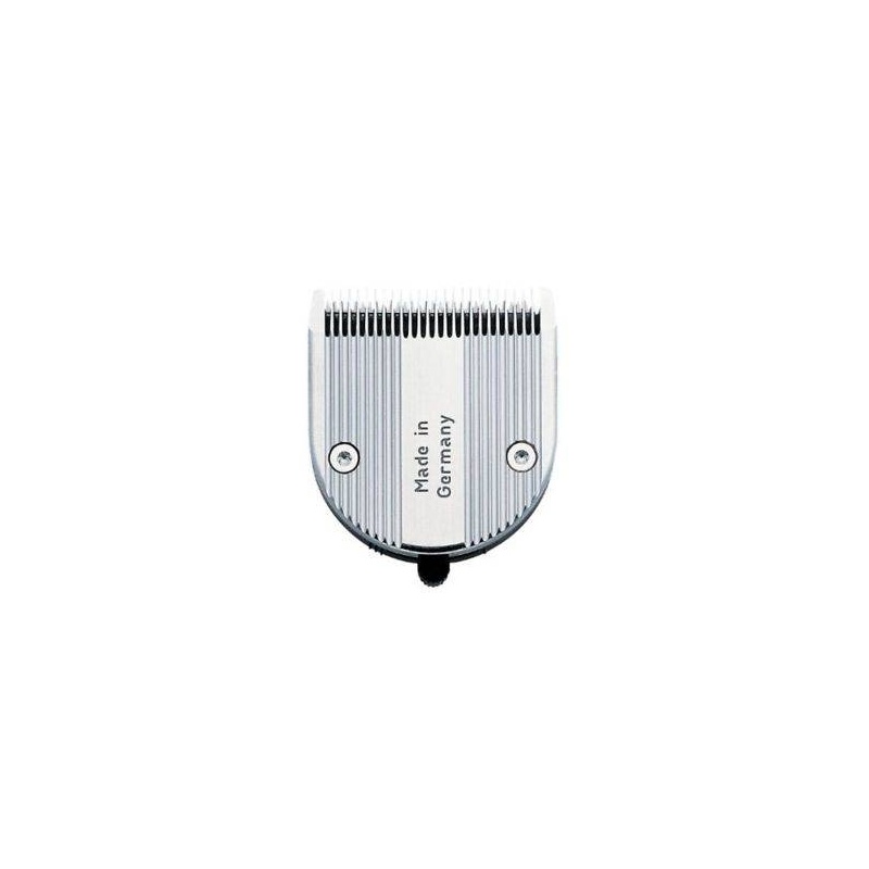 Z856.jpg