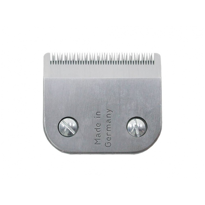 Z836.jpg