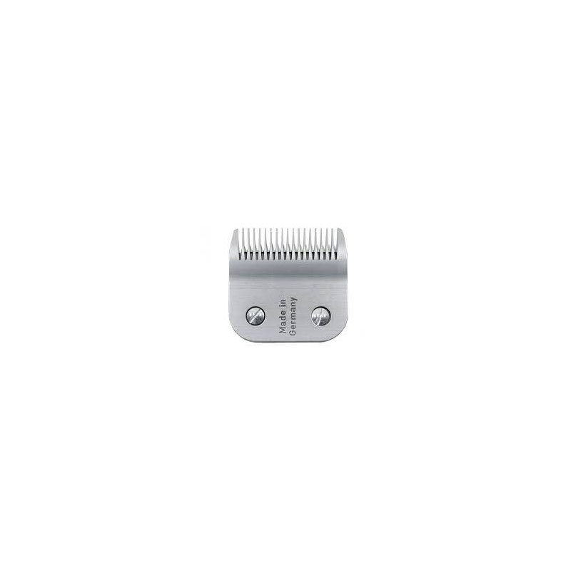Z842.jpg