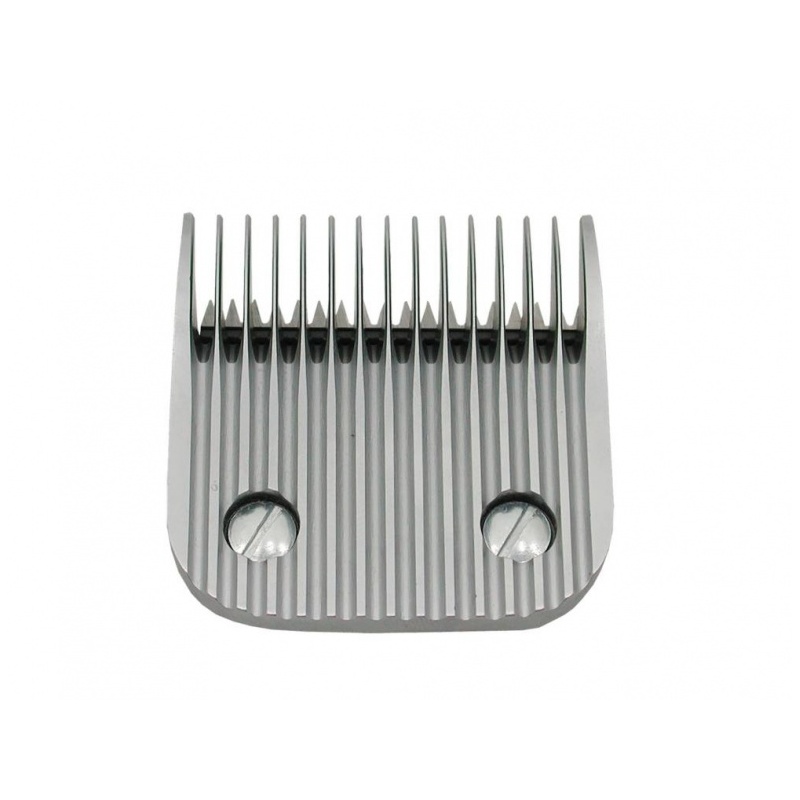 Z844.jpg